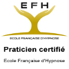  EFH 